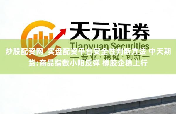 炒股配资网_实盘配资平台安全性判断方法 中天期货:商品指数小阳反弹 橡胶企稳上行