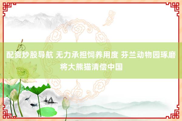 配资炒股导航 无力承担饲养用度 芬兰动物园琢磨将大熊猫清偿中国
