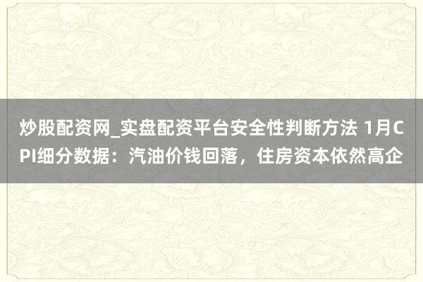 炒股配资网_实盘配资平台安全性判断方法 1月CPI细分数据：汽油价钱回落，住房资本依然高企