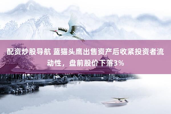 配资炒股导航 蓝猫头鹰出售资产后收紧投资者流动性，盘前股价下落3%