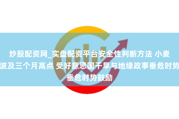 炒股配资网_实盘配资平台安全性判断方法 小麦价钱波及三个月高点 受好意思国干旱与地缘政事垂危时势鼓励