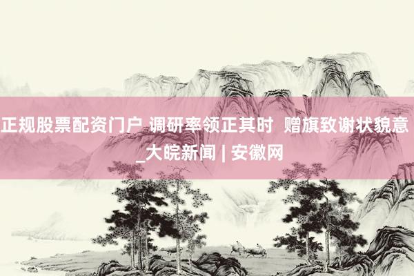 正规股票配资门户 调研率领正其时  赠旗致谢状貌意  _大皖新闻 | 安徽网
