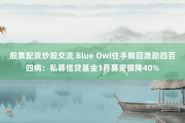 股票配资炒股交流 Blue Owl住手赎回激励四百四病：私募信贷基金1月募资骤降40%