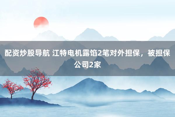 配资炒股导航 江特电机露馅2笔对外担保，被担保公司2家