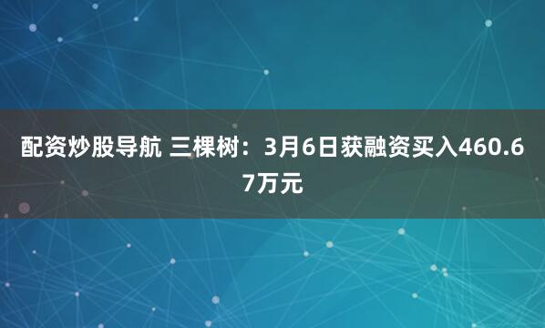 配资炒股导航 三棵树：3月6日获融资买入460.67万元