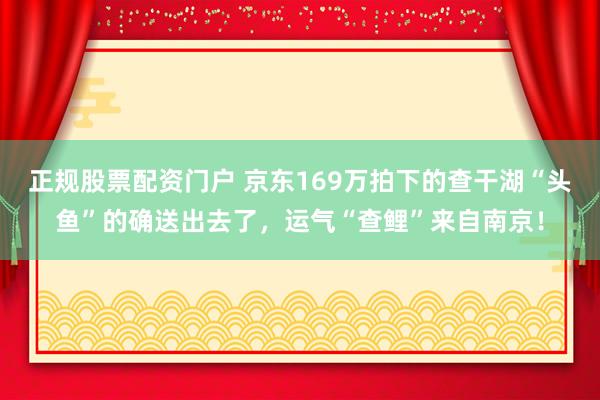 正规股票配资门户 京东169万拍下的查干湖“头鱼”的确送出去了，运气“查鲤”来自南京！