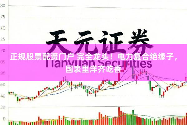 正规股票配资门户 完全龙头！电力复合绝缘子，国表里洋齐吃香
