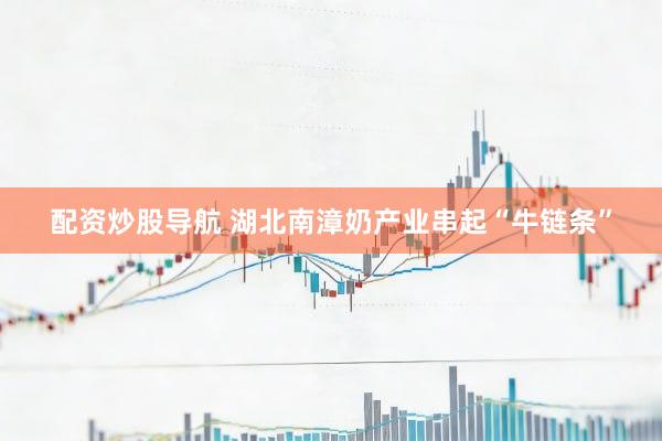 配资炒股导航 湖北南漳奶产业串起“牛链条”