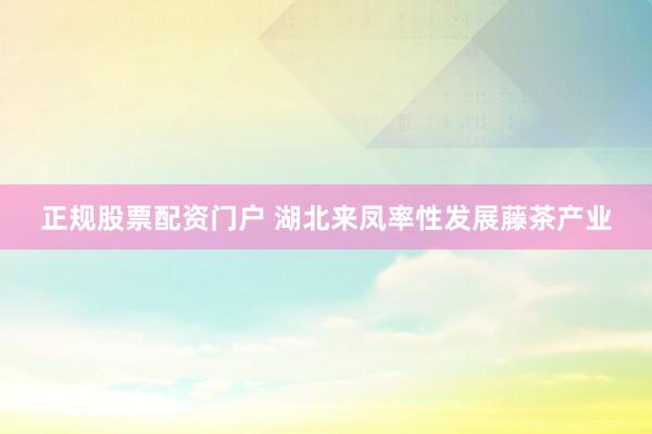正规股票配资门户 湖北来凤率性发展藤茶产业